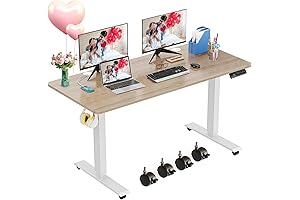 farexon 48" x 24" Electric Standing Desk with Wheels