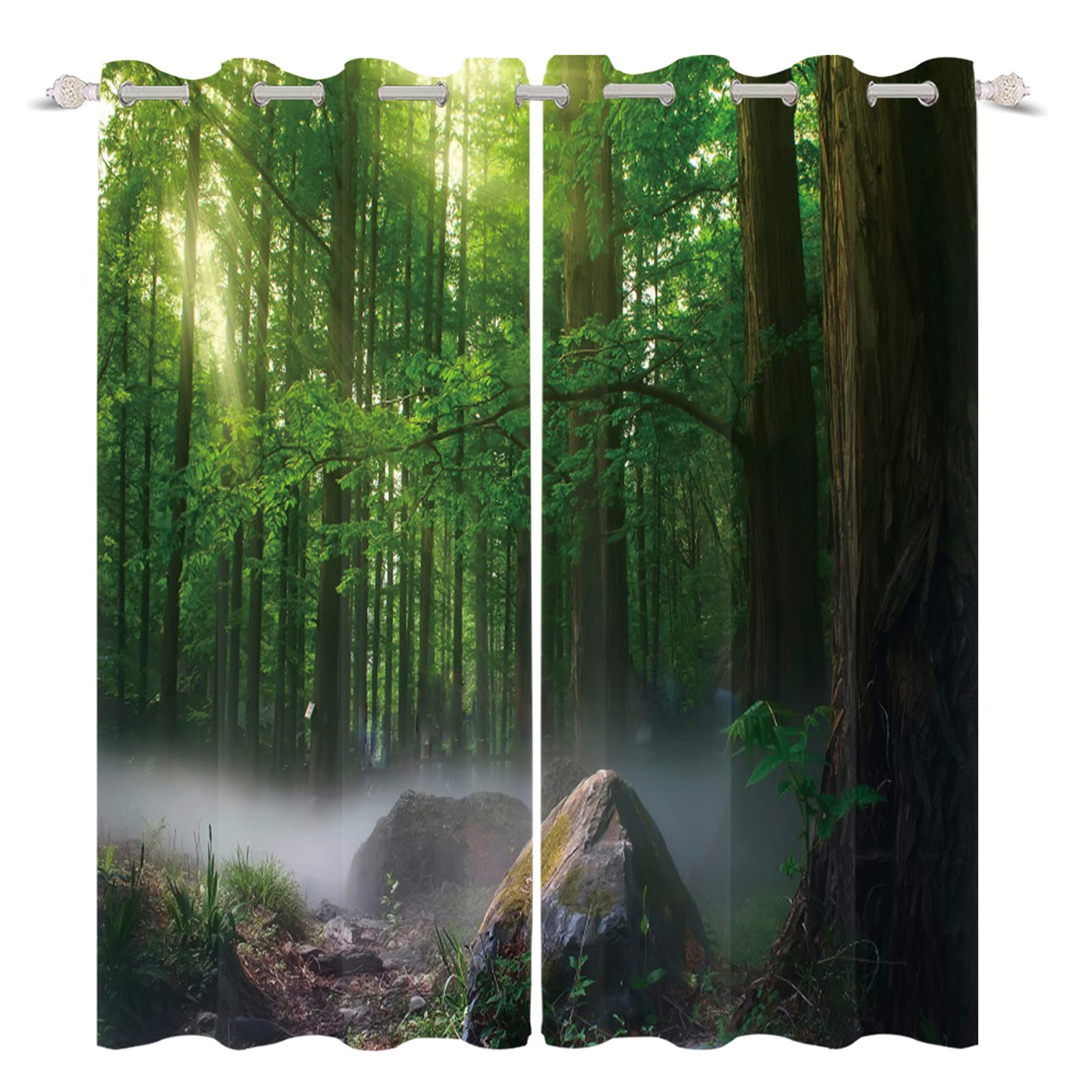 Tenda Filtrante Luce Con Stampa Frutta Verde, 140x229 Cm, Minimalista, Per Camera Da Letto E Soggiorno