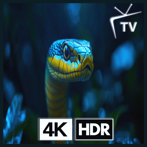 Mirada de serpiente - Enfoque en la selva tropical para el misterio de la jungla