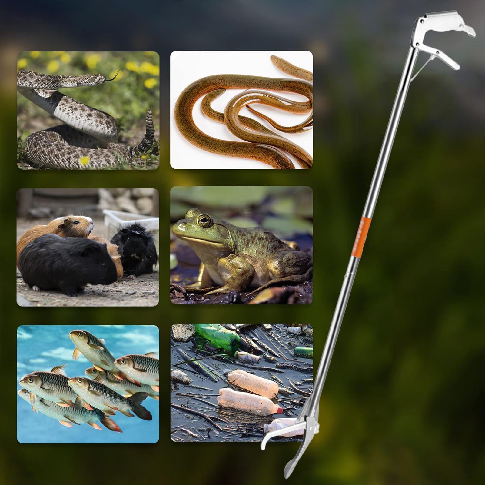 Lot de 1/2 pinces pour reptiles – Pince à serpent, tige allongée | Attrape-serpent pliable, serpents à clapet, outils de manipulation, crochet serpent, attrape-reptiles pour la randonnée, le camping