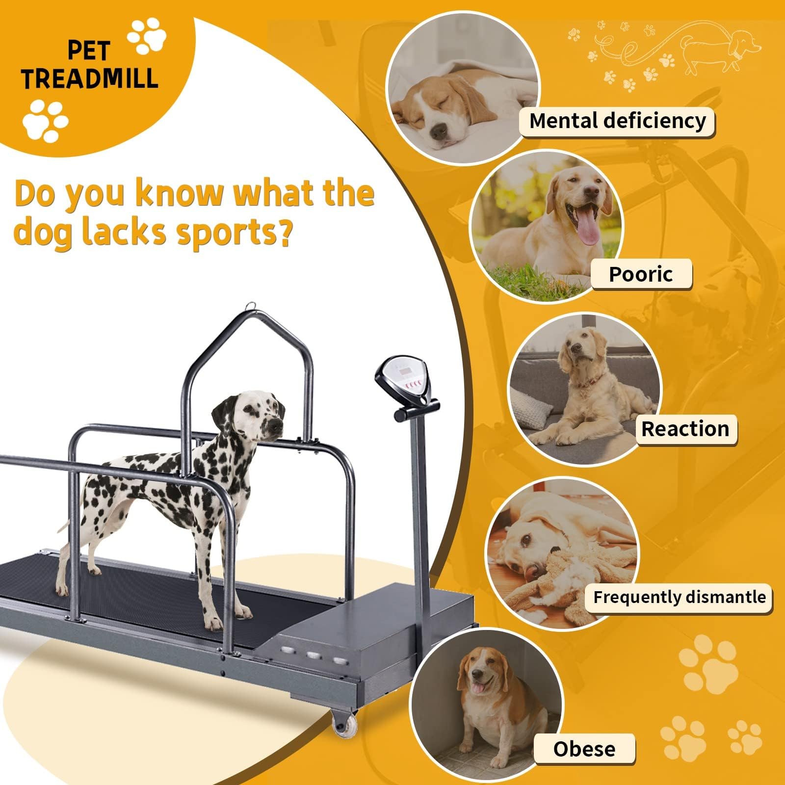 Cinta De Correr para Perros Grandes Y Medianos, Máquina para Correr para Perros, Equipo De Ejercicio, Máquina para Correr para Perros Pequeños Y Medianos, Cinta De Correr para Interiores,C200