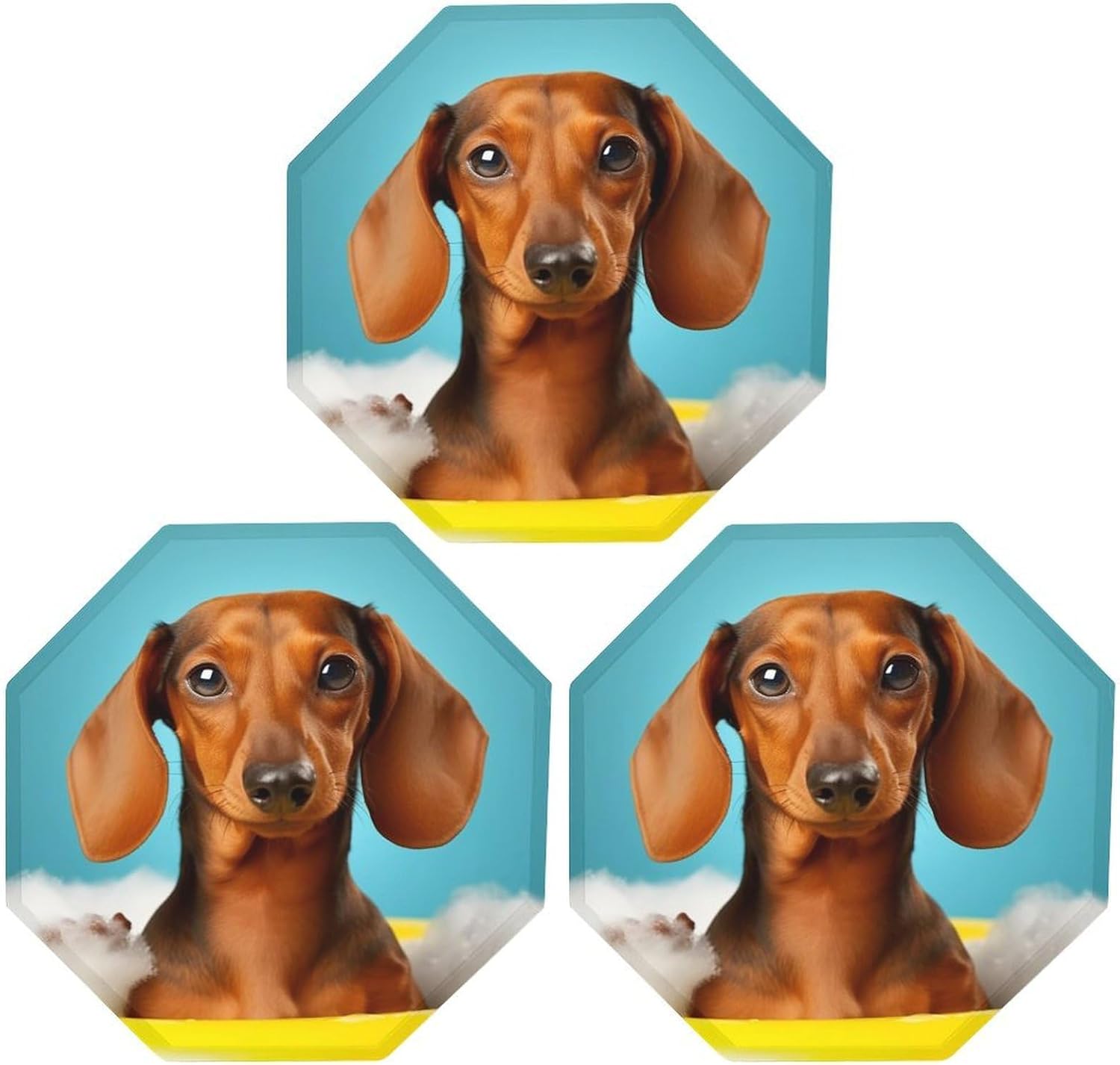 Ctagon Metal Sign for Home, Modern Display Plate for Kitchen, Dachshund Dog Plates Accent Hanging Wall Decorations 3PCS for Living Room, Bedroom, Hallway, Hotel