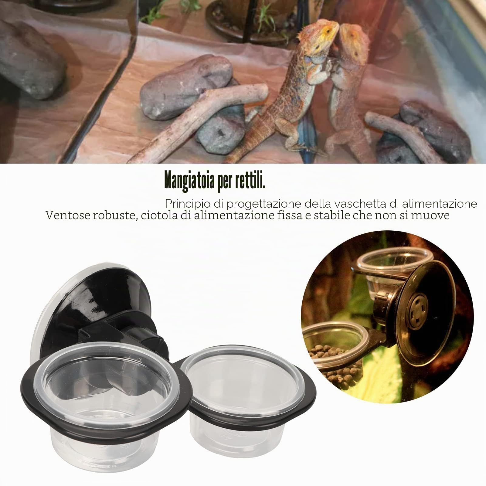 Ciotola per Rettili, Doppia Vaschetta per Acqua e Cibo, Accessorio Universale per Gechi Leopardati e Altri Piccoli Rettili