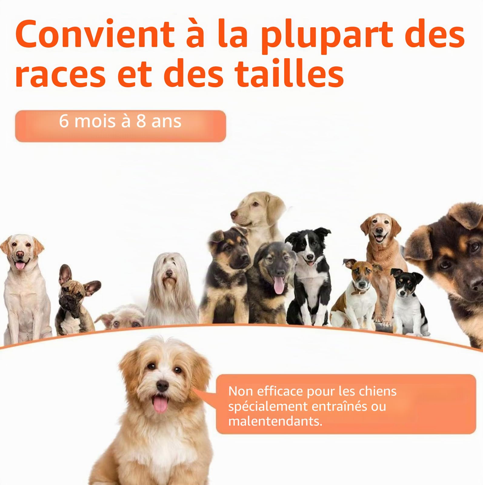 Generico Produits de Sécurité de la lampe de poche d'autodéfense pour Chien d'Aide Répulsif d'autodéfense à