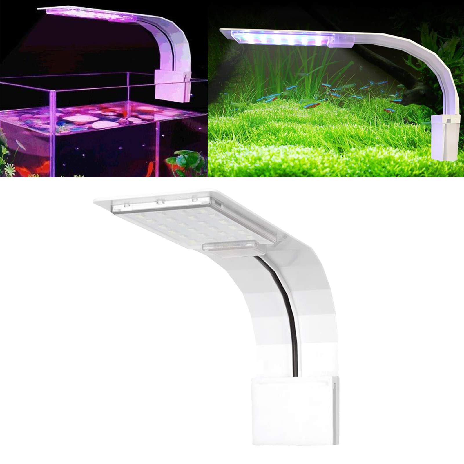 VAYINATO PetzLifeworld Coco Ultra Slim Thin WRGB White Clip On Light 12 W Suitable for 30-40 cm Tank (M-20) (B09H8S21VQ) Amazon Price History, Amazon Price Tracker