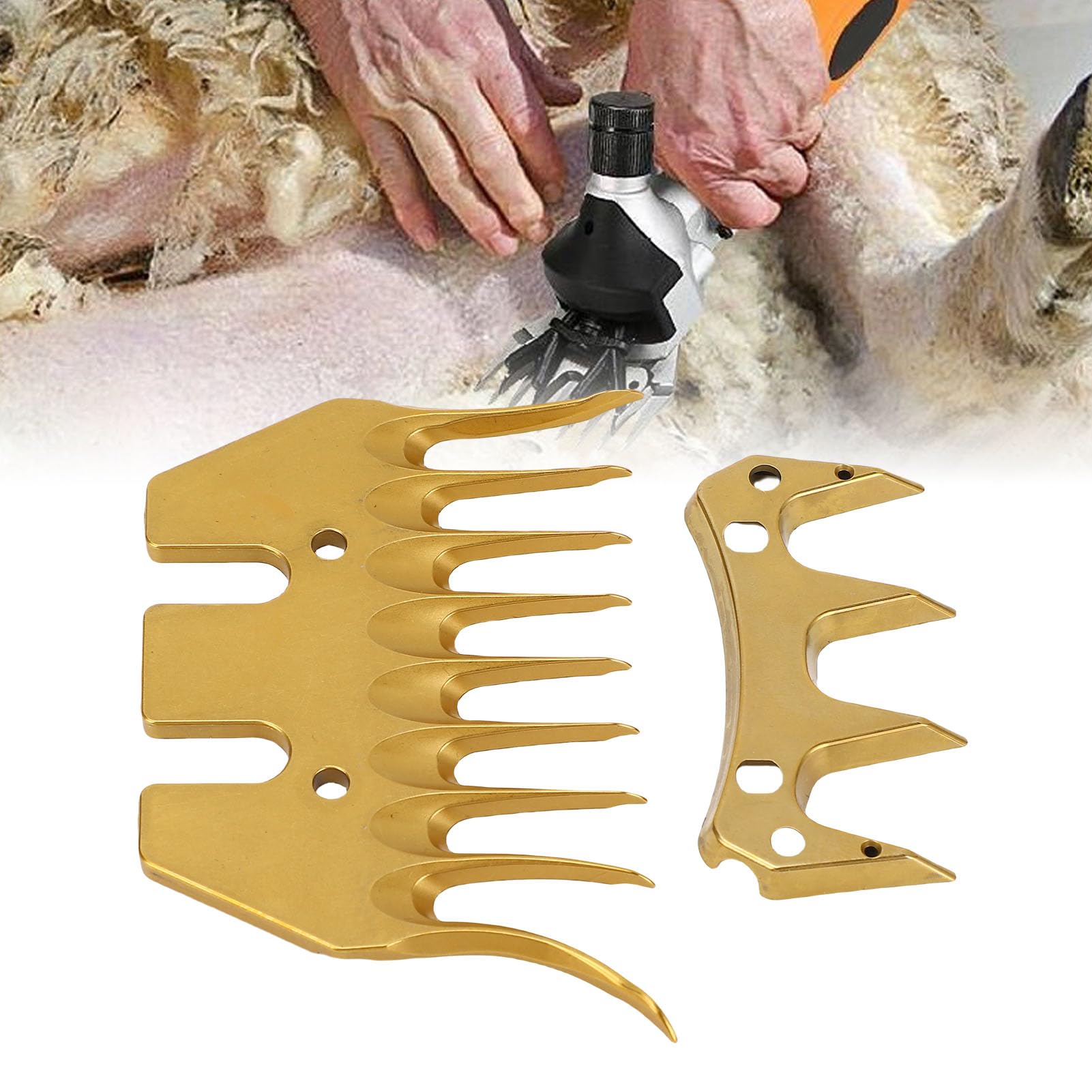 SIXRUN Lames de Rechange pour Tondeuse à Mouton à 9 Dents, Couleur or Longue Durée, avec Revêtement avancé pour les Professionnels