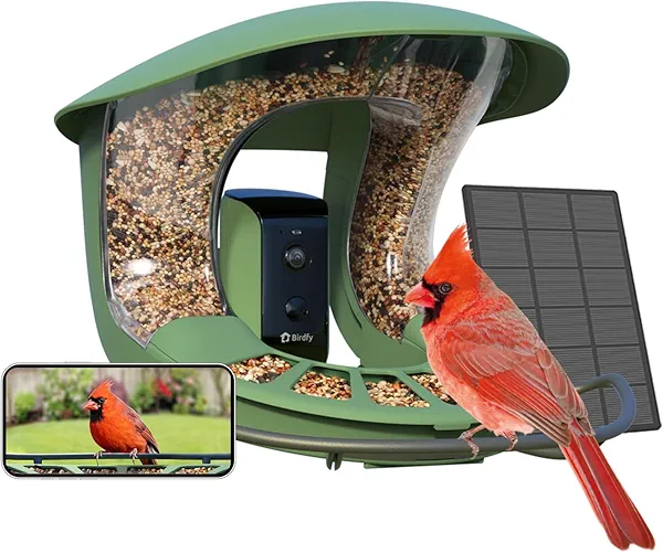 Birdfy 2 Smart Bird Feeder with Camera,Solar-Powered, Wireless Installation, Auto-Capture Bird Videos & Motion Detection, Gift Present