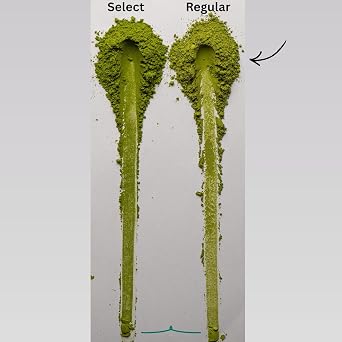 Matcha Regular - Culinary Matcha | Mutfak, Tarif ve Smoothie İçin Toz Yeşil Çay (Doypack, gram, 200)