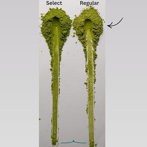 Matcha Regular - Culinary Matcha | Mutfak, Tarif ve Smoothie İçin Toz Yeşil Çay (Doypack, gram, 200)