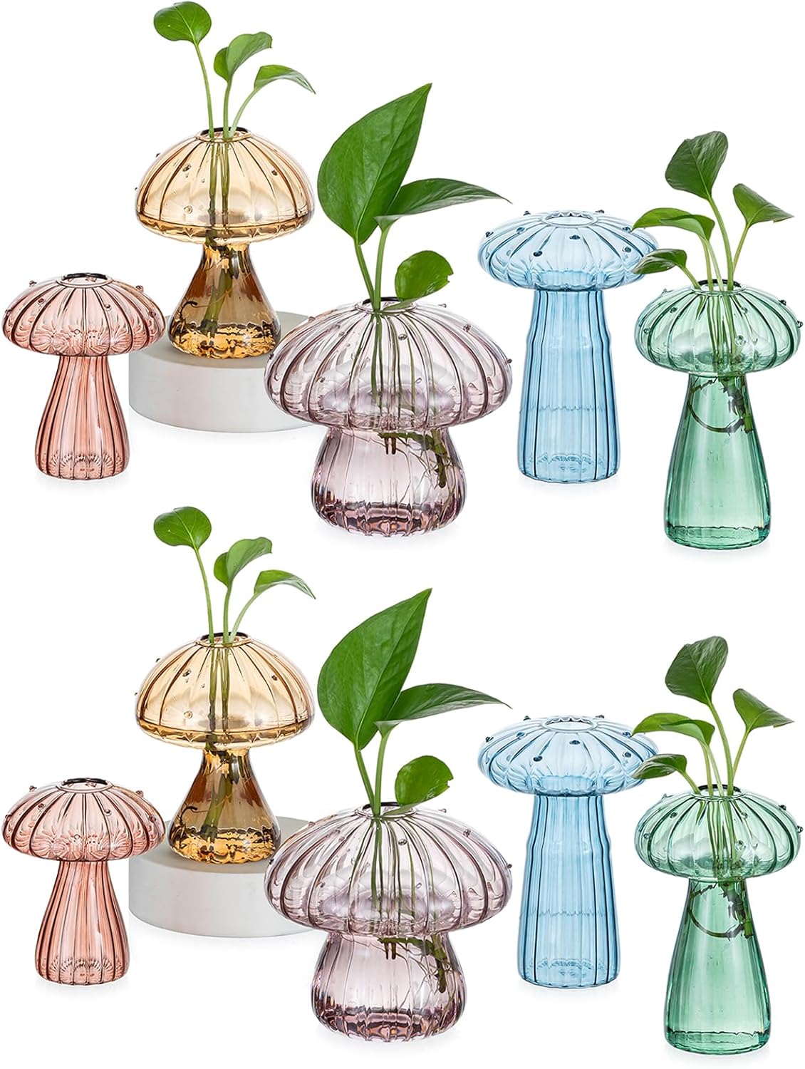 Hewory Glass Mushroom Propagation Stations: Set of 10 Unique Propagation Jars Glass Planter for Indoor Plants Home Decor - Colorful Mushroom Vase Christmas Birthday Gifts for Plant Lovers Women Girls
