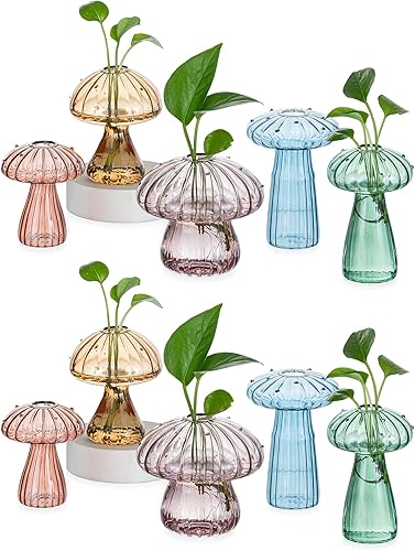 Miniatura 9 de Hewory Estaciones de Propagación de Hongos de Vidrio: Conjunto de 5 Frascos de Propagación Únicos Plantador de Vidrio para Plantas de Interior