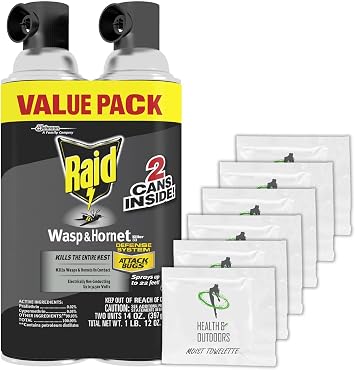 HAO Raid Wasp and Hornet Killer 14oz Spray W Bonus Moist Towelettes, 8 Piece Set
