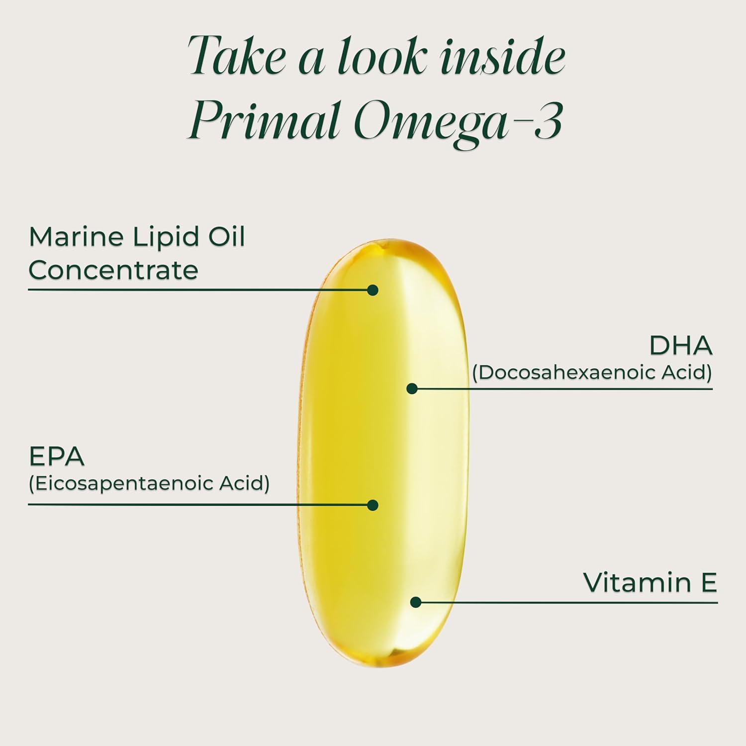 Primal Harvest Omega 3 Fish Oil Supplements, 30 Servings Soft Gels Capsules w/ 1000mg EPA + DHA Supplements, No Fishy Burps Non-GMO Omega 3 Fatty Acid - Image 3