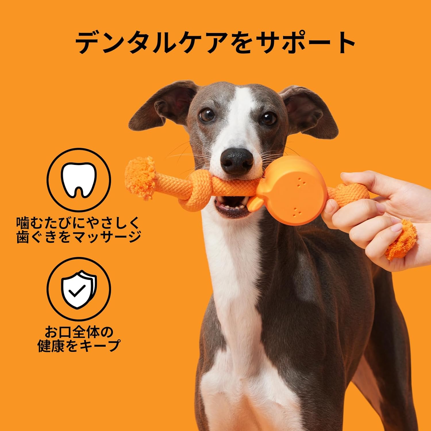 VETRESKA 犬用ロープおもちゃ 歯のクリーニング用噛むおもちゃ 引っ張りっこトイ 退屈しのぎに最適 タフなロープトイ 噛み癖の強い犬用 子犬の歯固めおもちゃ（苺、オレンジとコーヒー） thumbnail 4