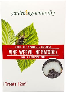 Vine Weevil Nematodes Natural Organic Killer Treats 12sq.m