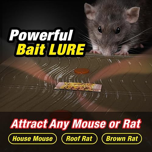 Miniatura 4 de HOY HOY Trampa transformable con pegamento para ratas y ratones con señuelo, 5 trampas, diseño plegable inteligente para uso en interiores,