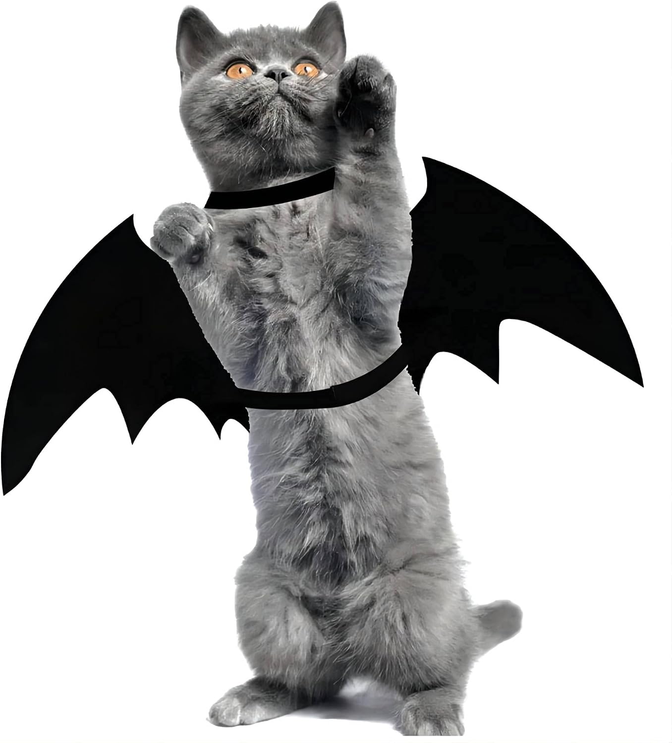 XINHAO Cat Halloween Costume, Halloween Bat Wing Costume for Pets, Puppy Collar Leads Cosplay Bat Costume, Halloween Party Decoration