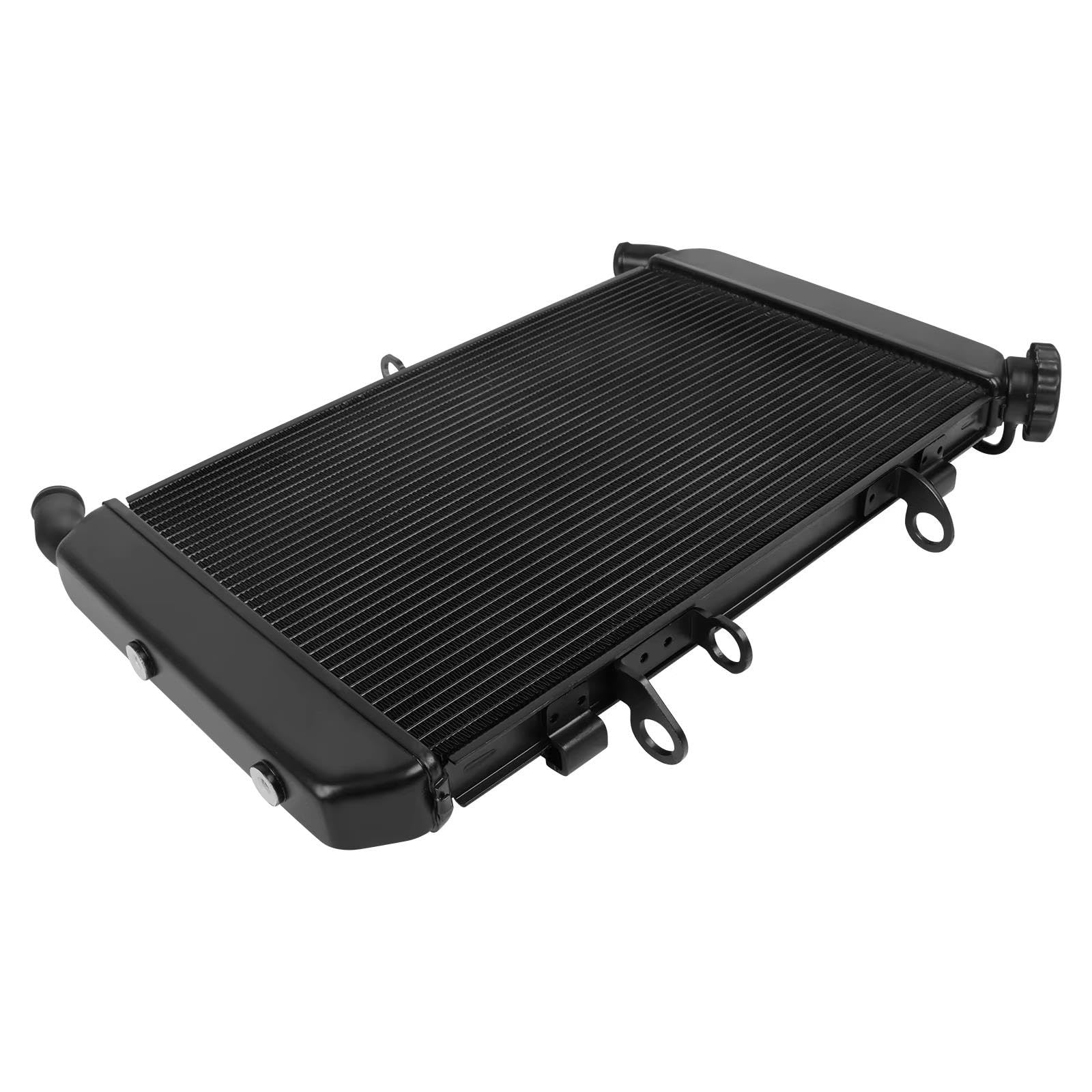 Serbatoio Espansione Liquido Refrigerante Moto Per Yamaha Per FZ09