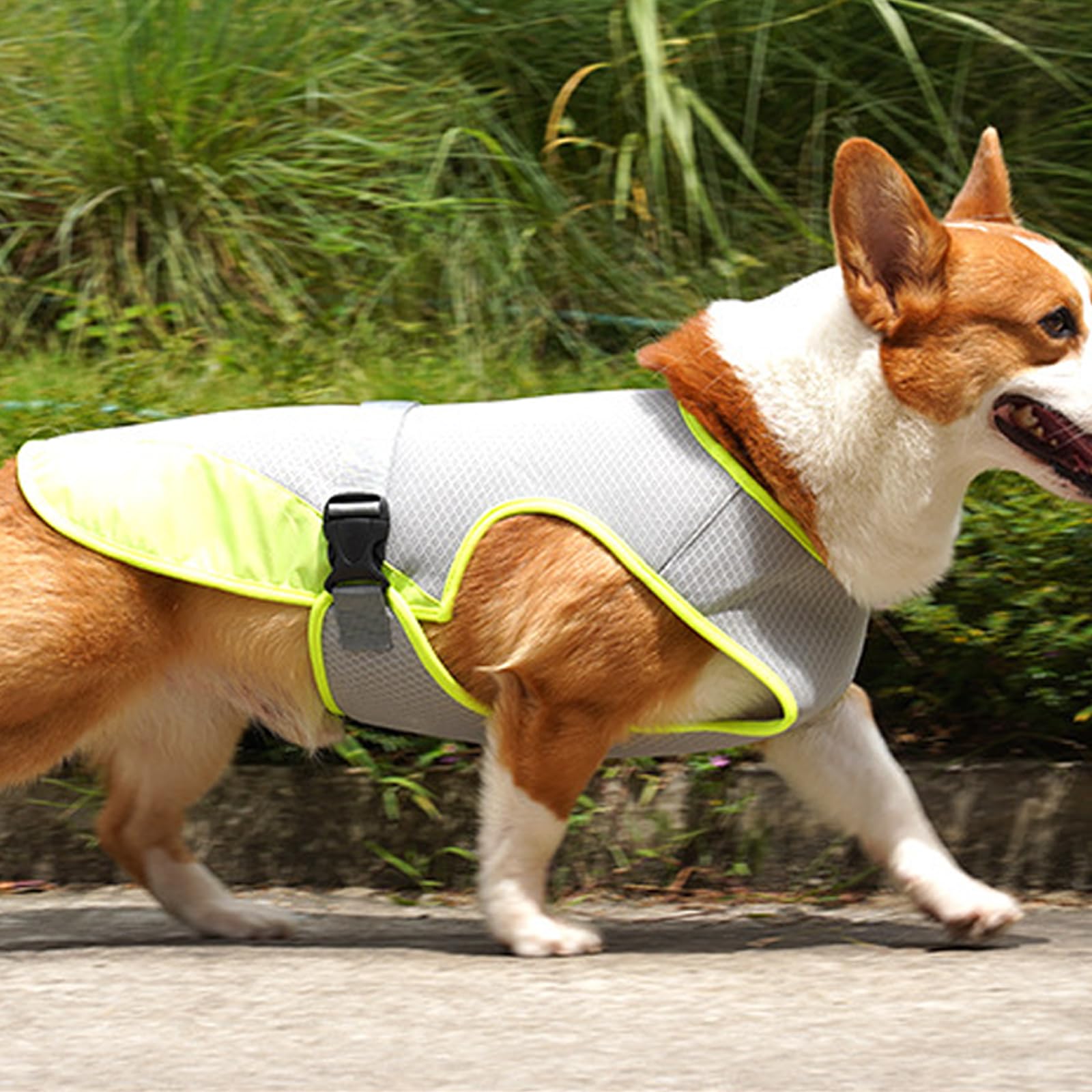TYXHXTF Gilet de Refroidissement pour Chien, Rafraîchissant Manteau Chien, Veste de Refroidissement pour Chien, Manteau Rafraichissant Protection Contre Le Soleil Activités Extérieures pour Chiens(L)