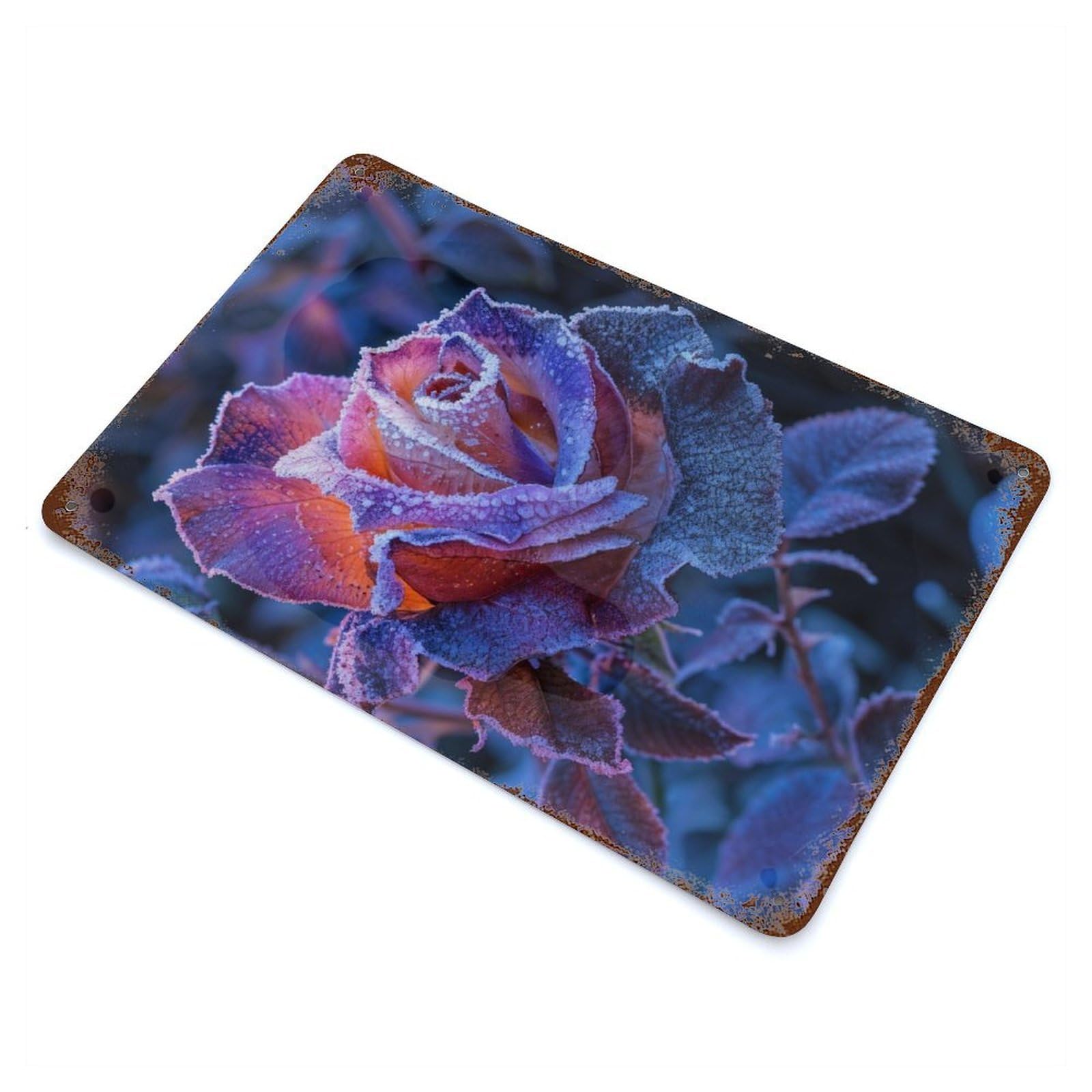Black Rose 11.8"x7.9" Rusty Metal Tin Sign, Farmhouse Wall Decor for Office, Studio And Wall Decor