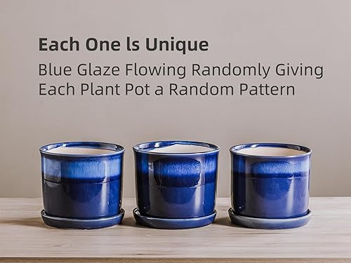 Vista 11 de Maceta de cerámica de 8 pulgadas: maceta de cerámica con orificio de drenaje y platillo para plantas de interior y exterior, maceta con bandeja