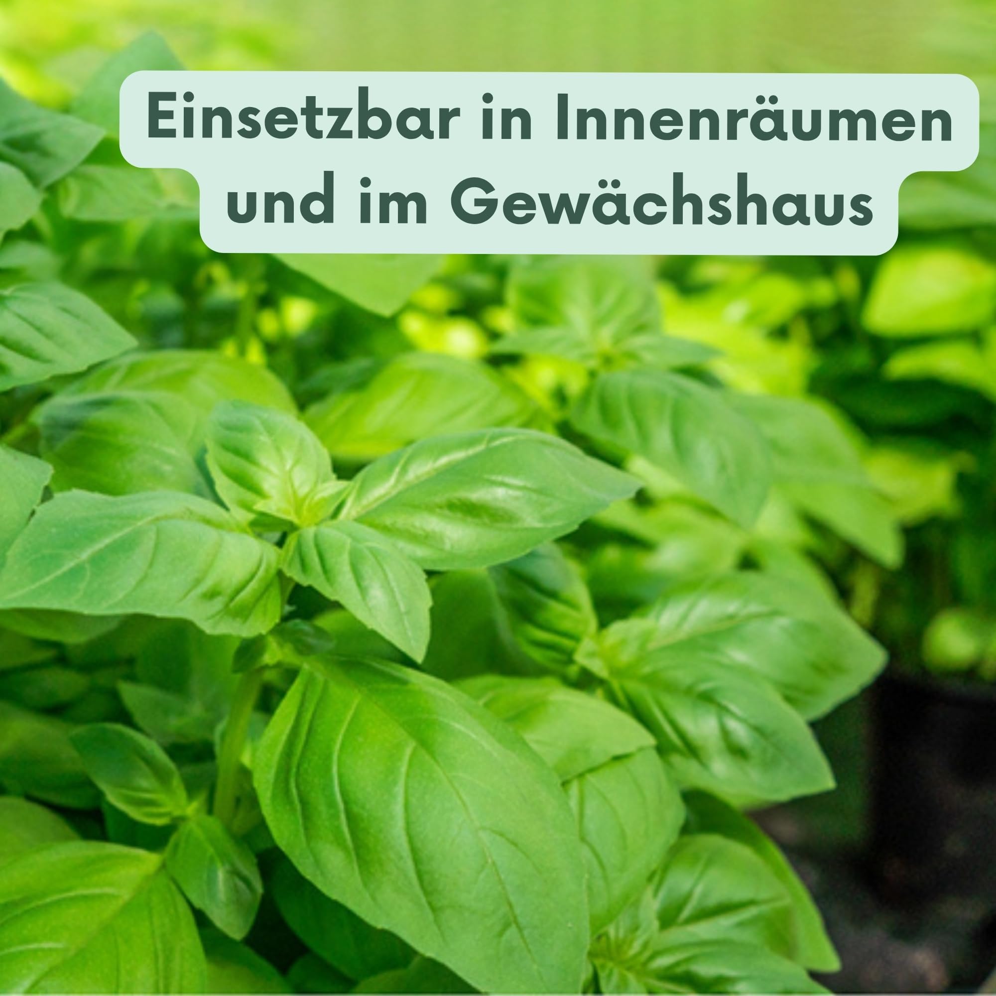 (25 Mio) + Nema-Quick (50 ml) Kombi-Packung HB Nematoden zur Bekämpfung des Gartenlaubkäfers
