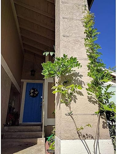 Miniatura 8 de Kit de tensor y herramienta de prensado de cuerda de alambre, cable de avión recubierto de vinilo de 100 pies (116 pulgadas sobremoldeado a 564