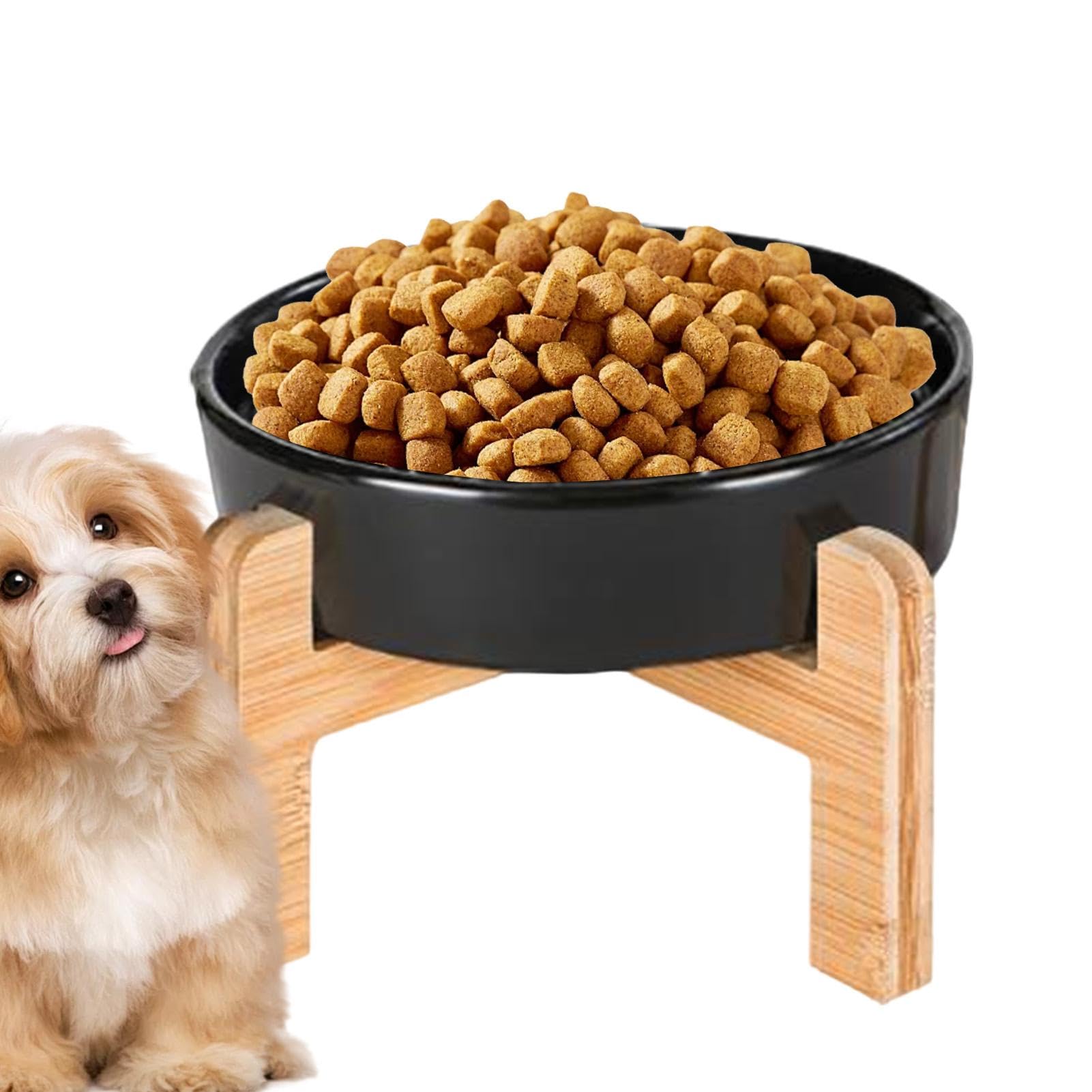 Gamelle pour animaux à alimentation lente contre les vomissements des chats