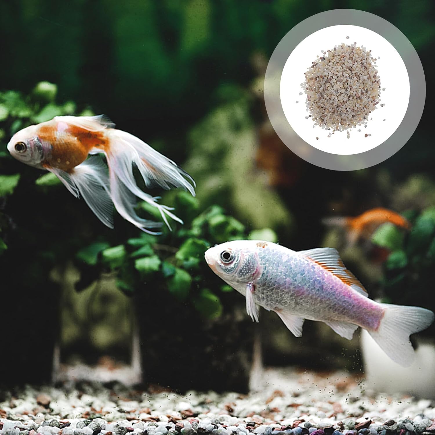 NUOBESTY Aquarium Gravel and Polished Natural Rocks 1kg Decorative Substrate for Freshwater Fish Tank Plants and Turtle Tank