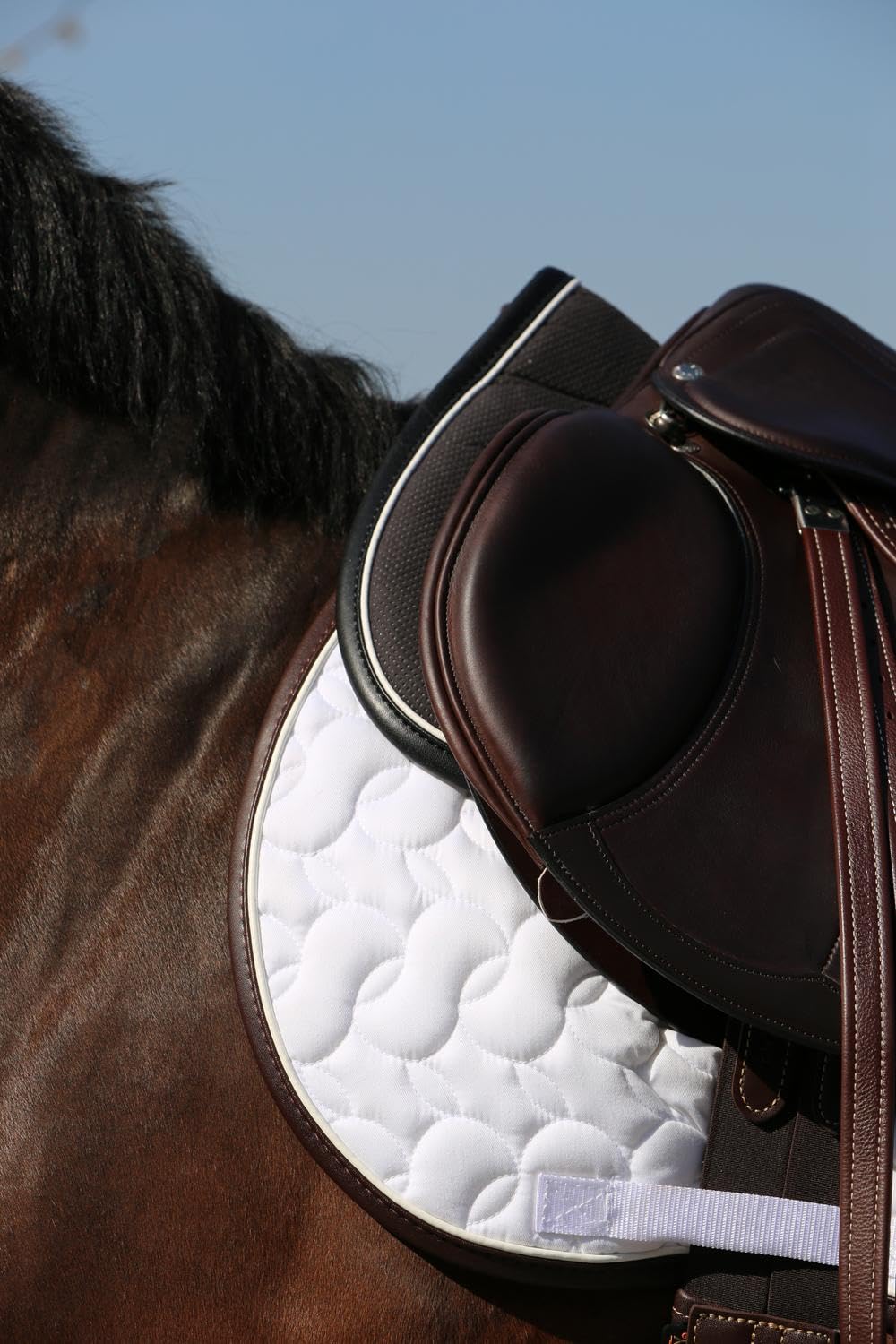 Kentucky Horsewear modèle Absorb Anatomic tapis de selle absorbant, taille unique