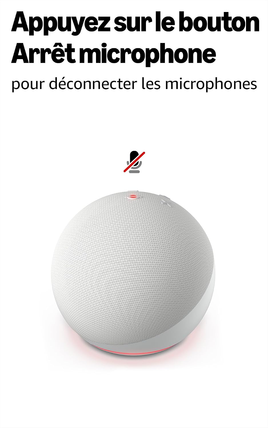 Vue 8