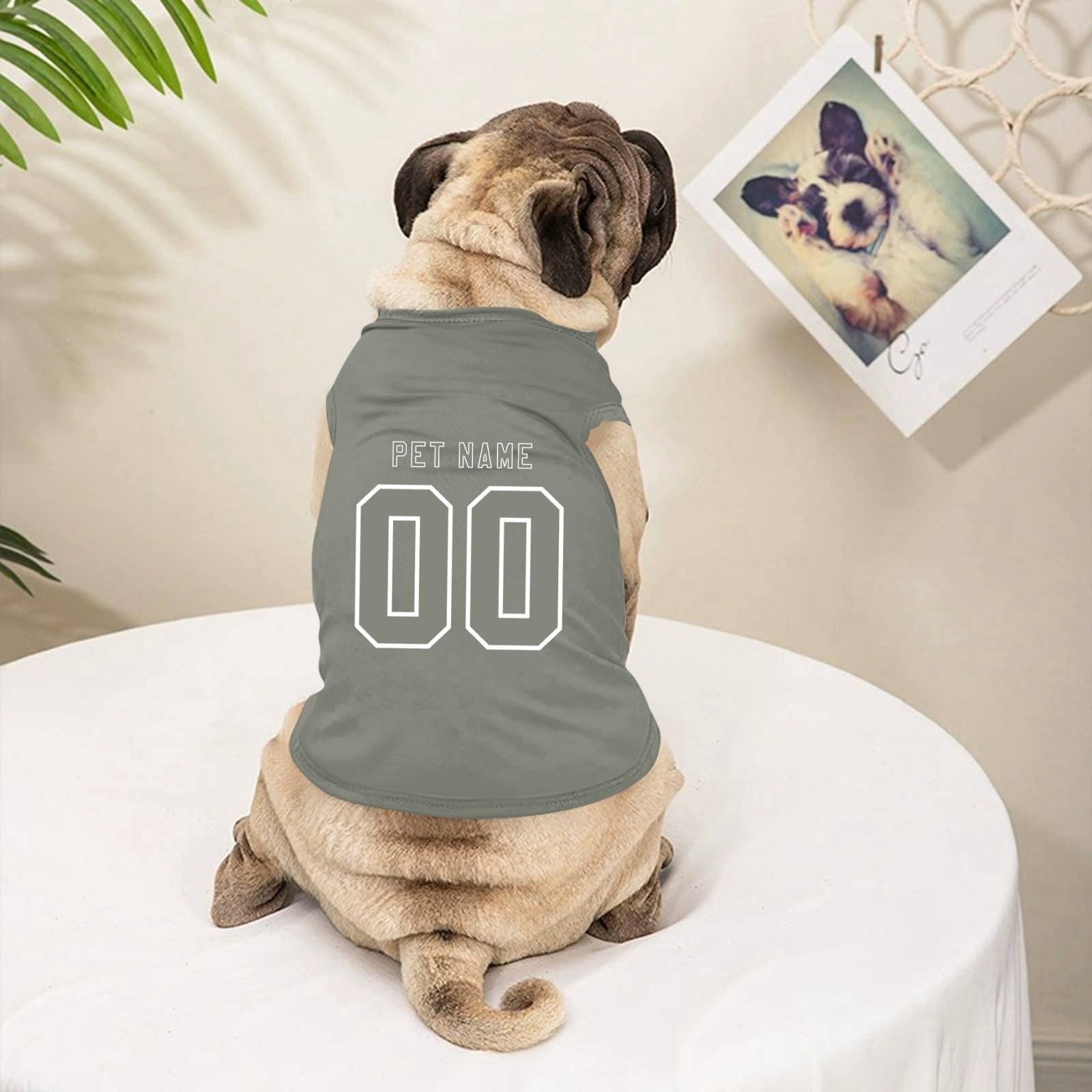 View 3