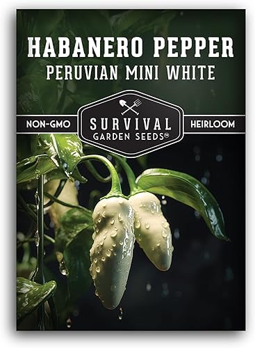 Survival Garden Seeds - Mini semilla de pimiento habanero blanco para plantar - 1 paquete con instrucciones para plantar y cultivar pimientos
