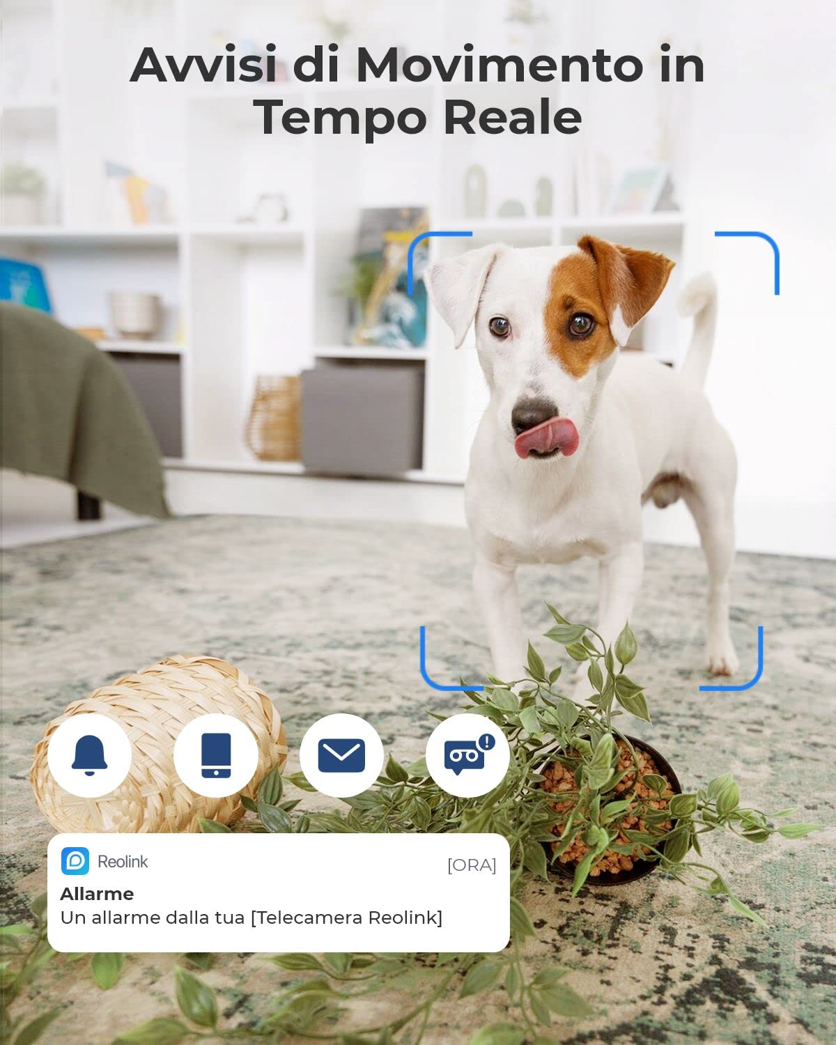 Reolink 3MP Telecamera WiFi Interno con Pan/Tilt, Audio a 2 Vie, Videocamera Sorveglianza WiFi da 2.4 GHz, Visione Notturna, Rilevamento del movimento, Accesso Remoto,Cloud, E1 Nero (Ricondizionato)