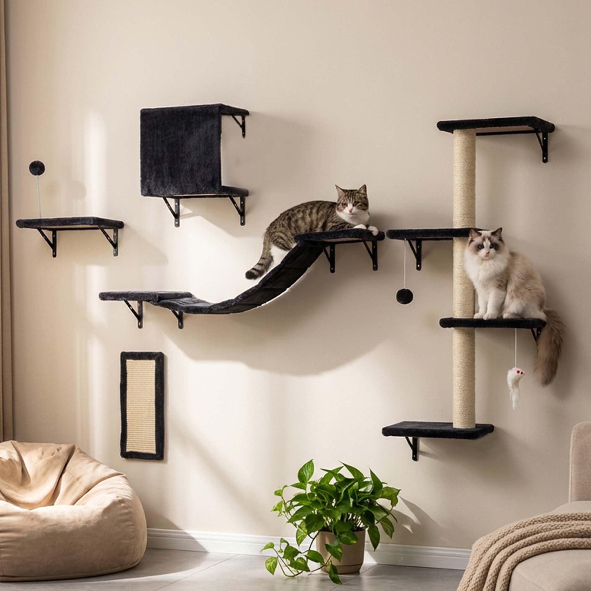 ANWA 5-in-1 Cat Wall Shelves with Scratching Posts & Cozy Condo, Space-Saving Cat Wall Furniture with Scratcher, Multi-Level Cat Wall Climber with Floating Shelves for Indoor Cats, Dark Gray