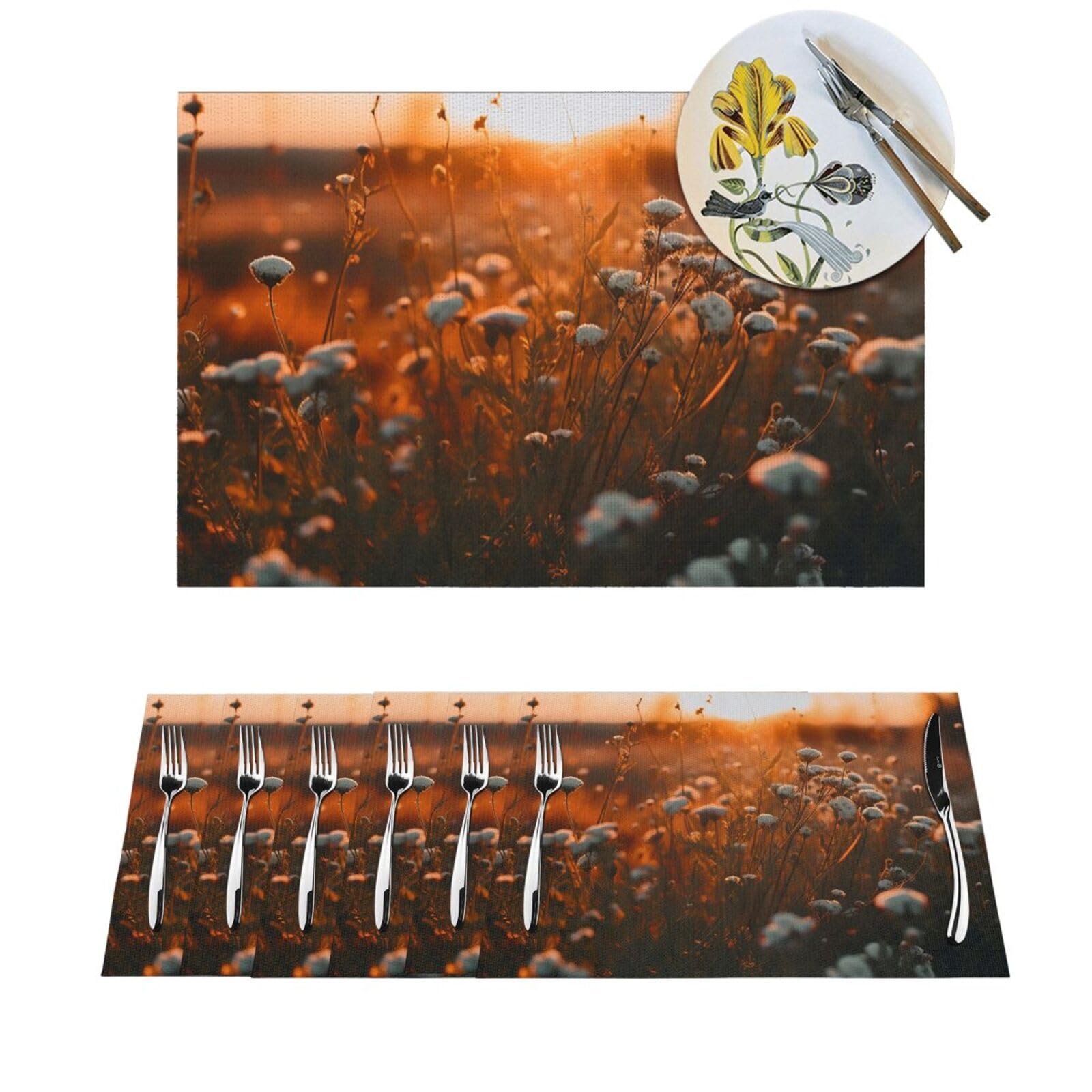 Set de table thermorésistant et antidérapant en PVC tressé facile à nettoyer | Lot de 4