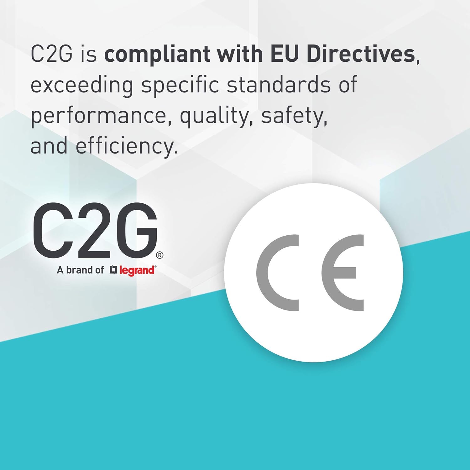 15ft DisplayPort™ Male to Single Link DVI-D Male Adapter Cable - Black