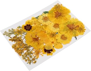jojofuny 1 Juego Bolso grabado grande Flores rosas prensadas seco Flores artificiales mini flores prensadas flores secas artesanía de flores prensadas flor seca para bricolaje Amarillo