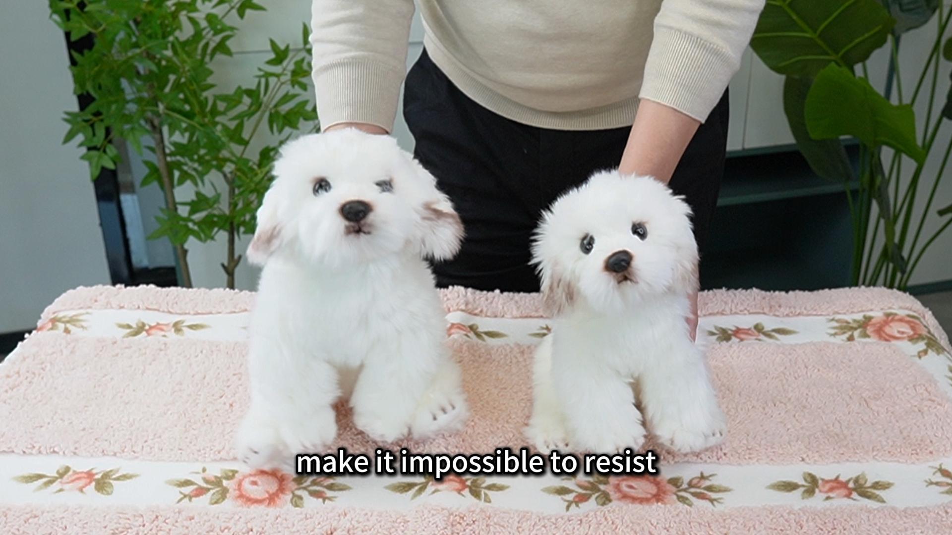 Amazon.com: FAONIE Realistic Plush Maltese Dog, Stuffed Animal