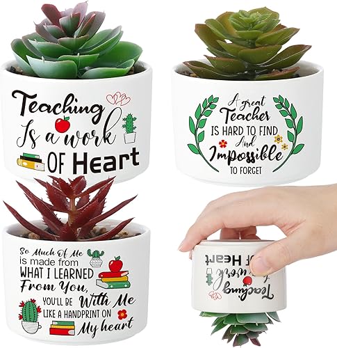 Rtteri Macetas de cerámica para suculentas de 3.15 pulgadas, regalo para profesores, regalo para profesores, maceta divertida y bonita (cálido)