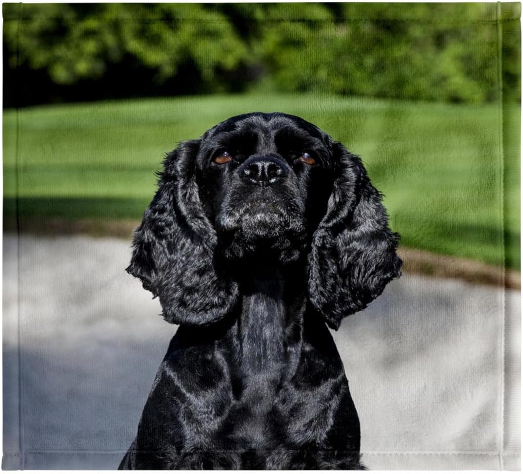 3dRose Cocker Spaniel Dog on a Golf Course - US05 ZMU0288 - Zandria Muench Beraldo 22x30 Bath Hand Pool Towel