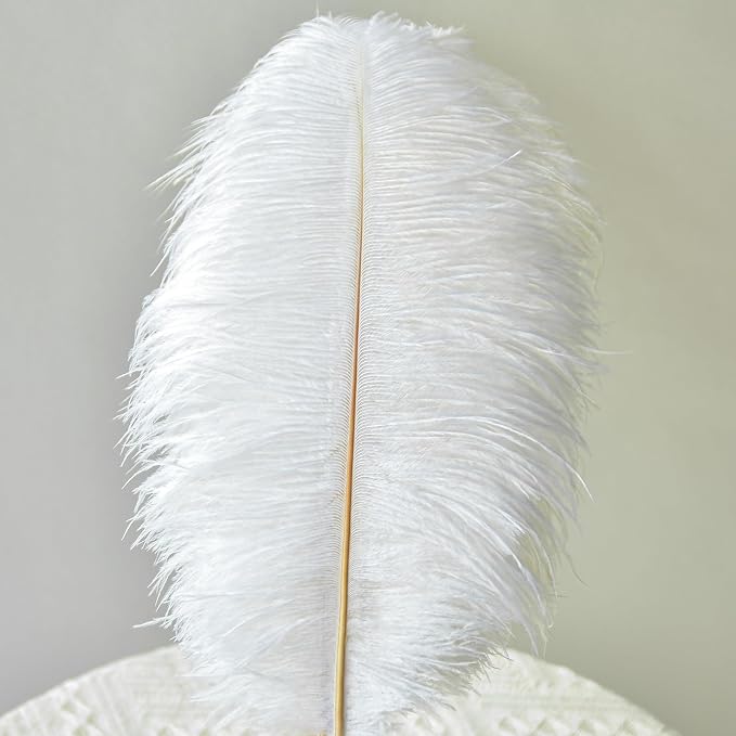 Sowder 20pcs Natural 10-12inch (25-30cm) Straußenfedern Feder Für Hochzeit Mittelstücke Home