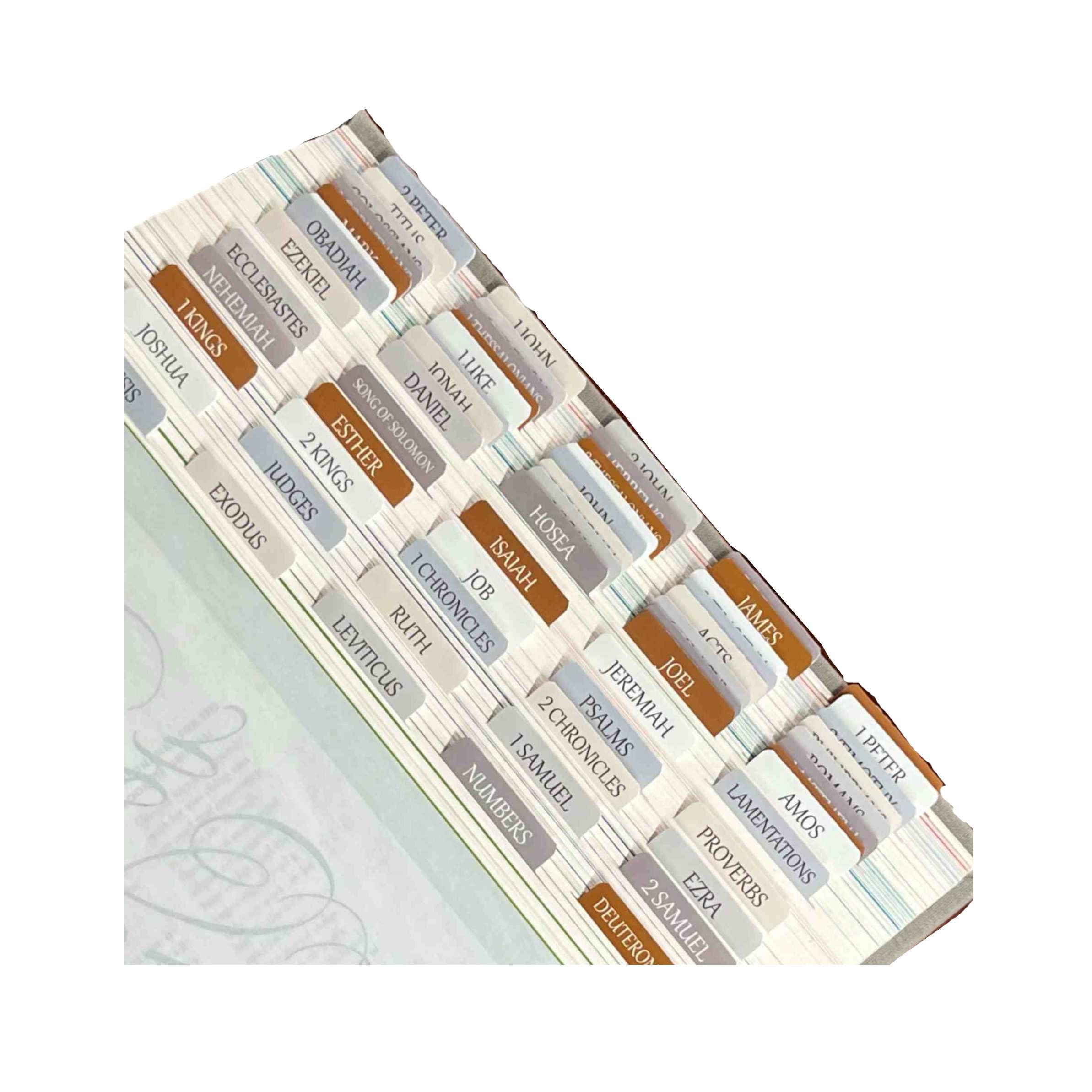 Thinkor Reposition Laminated Bible Tabs, Large Print Stickers, Easy to Read &amp; Apply Bible Tabs for Women &amp; Man (Winter Snow)