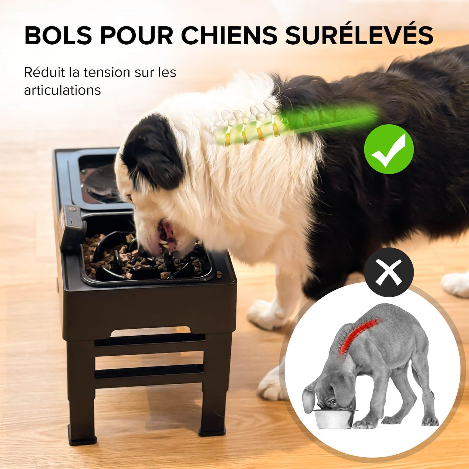 Amicura Gamelle Chien Surelevee, 2-en-1 Gamelle Surélevée avec Gamelle d'eau Anti-éclaboussure et Acier Inoxydable, 4 Hauteurs RéGlables pour Petits Chien Chat de Compagnie, Moyens et Grands