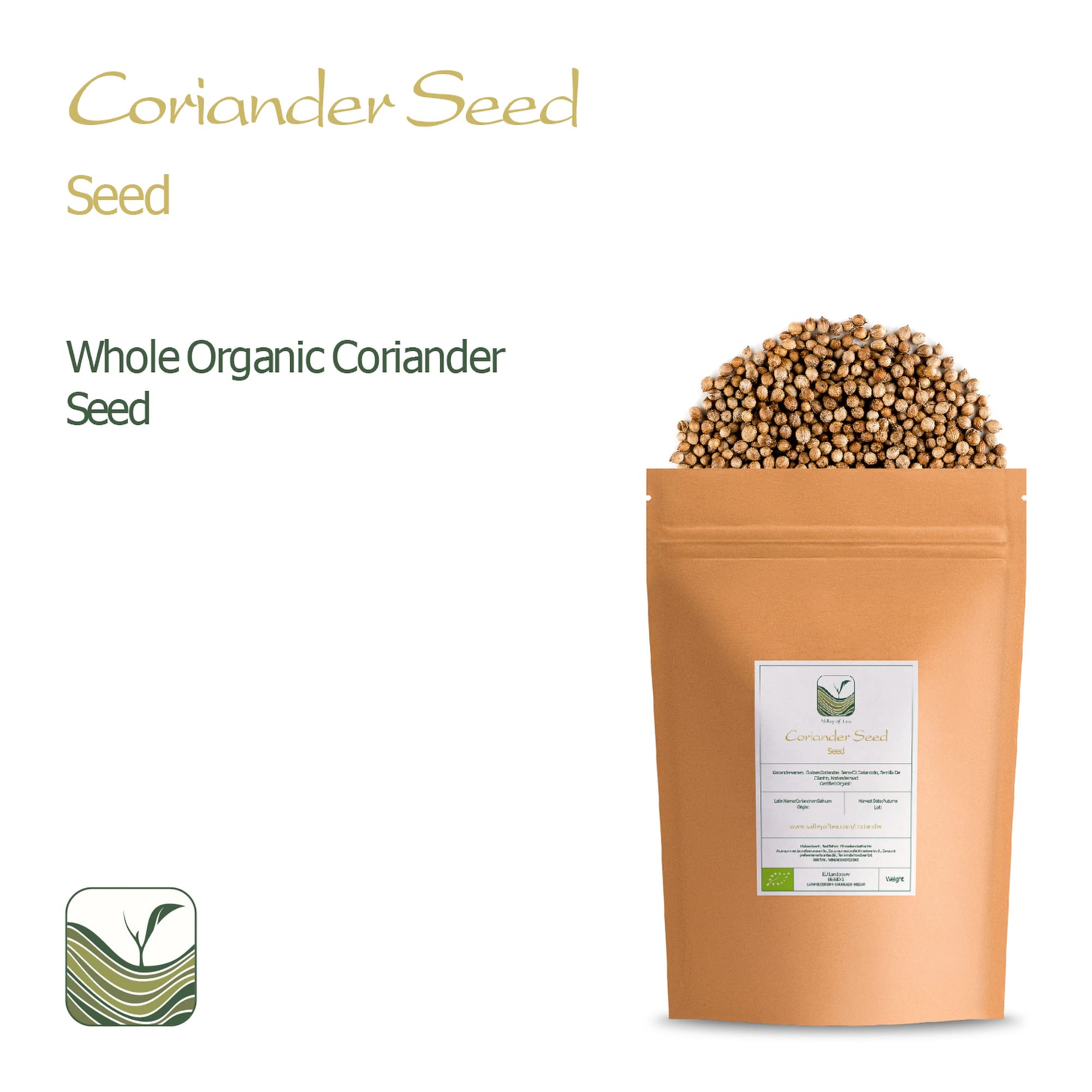 Organic Soul Coriander Whole – 80gm | 100% Certified Organic | Non-GMO - View #9