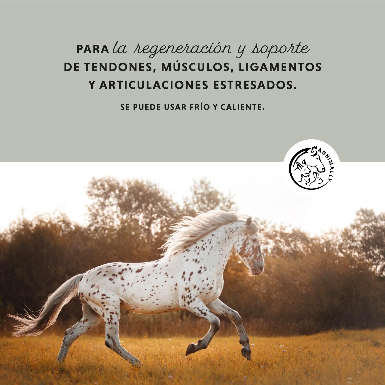 Annimally Arcilla para Caballos 2kg - Pasta de Arcilla para Caballos con valiosos extractos de Hierbas para la relajación y Calma de los músculos.