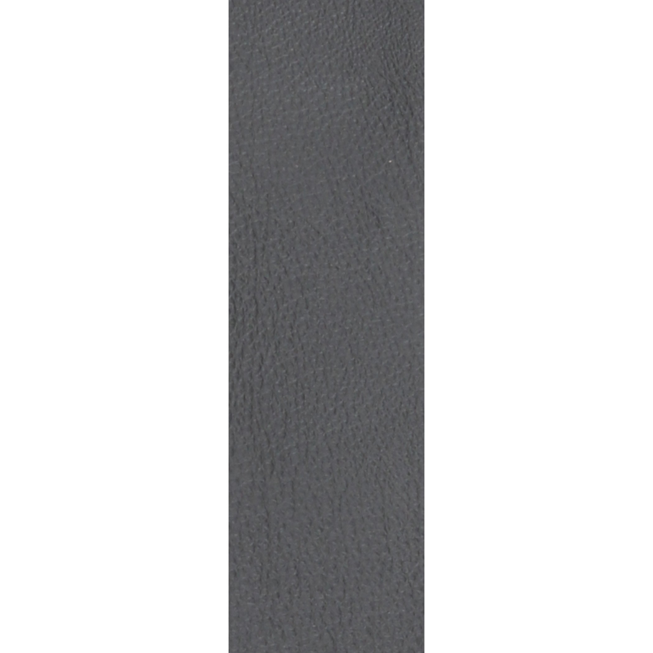 Planet Waves 2.5 inch Garment Leather Banjo Strap with Coated Metal Hook
