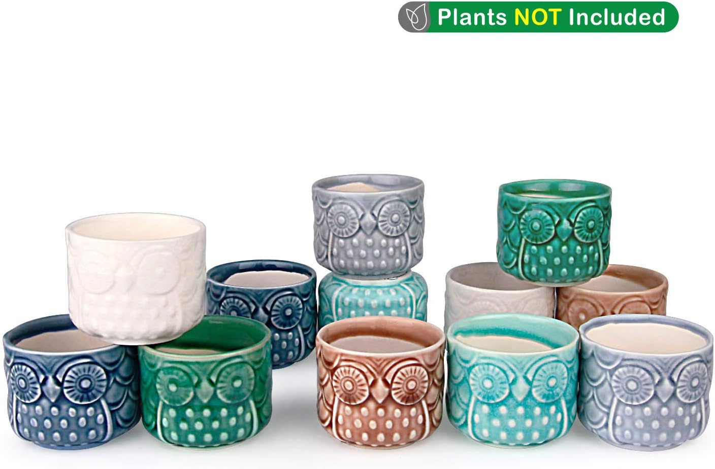 T4U 2.5 Inch Ceramic Succulent Planter Pots with Drainage Hole Owl Set of 12, Small Ice Crack Glaze Porcelain Cactus Plant Holder Container Gift for Mom Sister for Home Office Desk Garden Decoration
