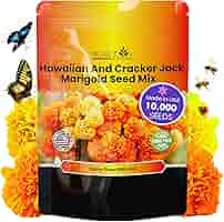 marigoldsさん専用２　1000 Marigold - Crackerjack Seeds | Earl May