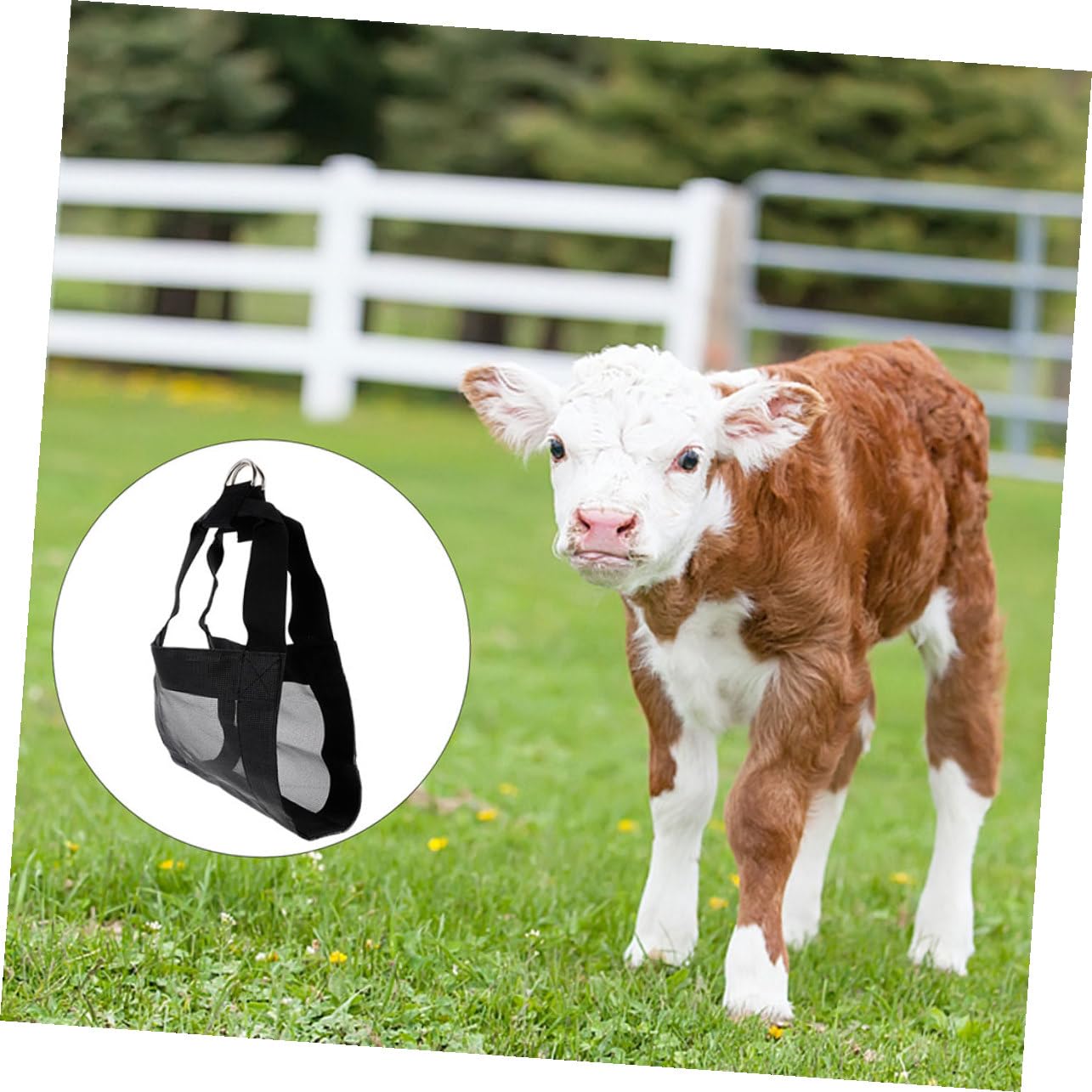 Imbracatura Riutilizzabile in Nylon Nero e Bestiame Pesare 2 Pezzi per Comoda e Resistente Piccoli Animali per Uso Agricoltura e Allevamento